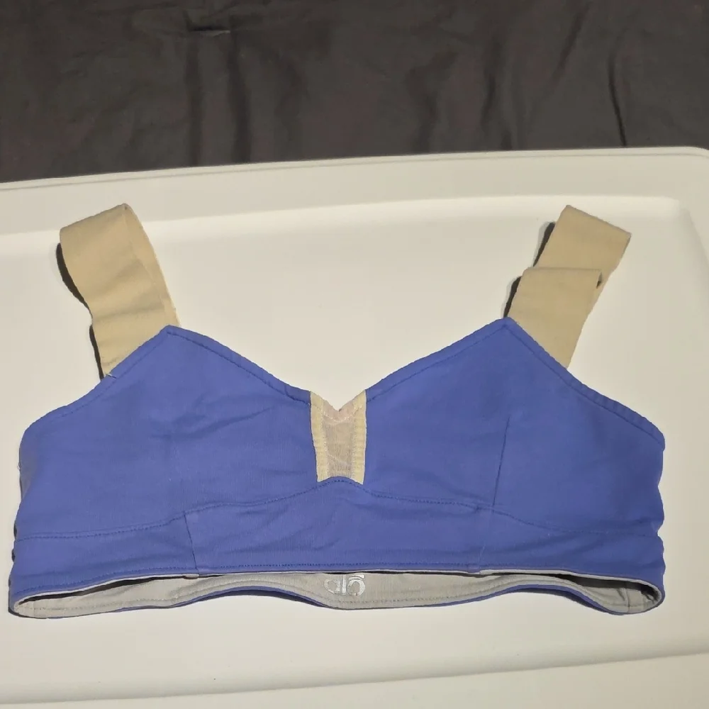 ALO Reversible Blue and Beige Sports Bra